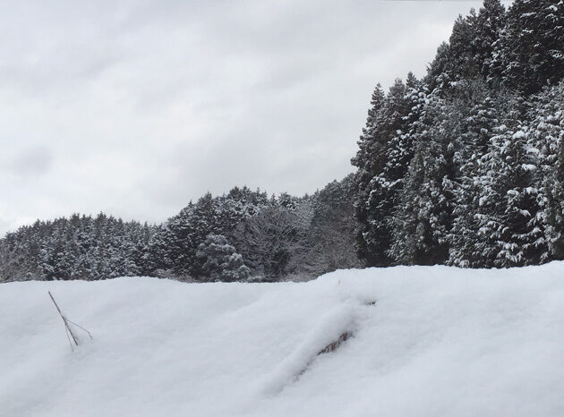 「積雪の中の出猟」サムネイル