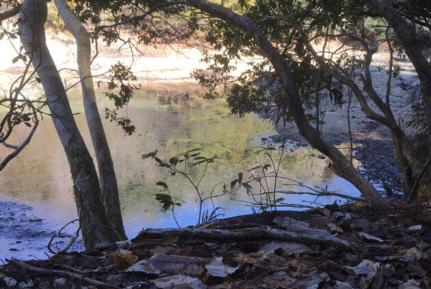 「獲物を狙う前にまずすべきこと」サムネイル