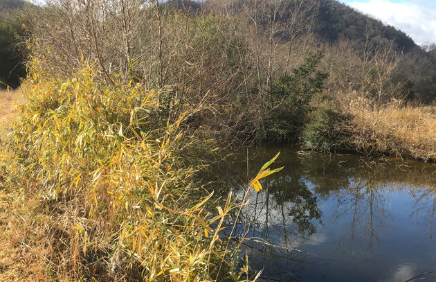 「獲れない理由を心で理解する」サムネイル