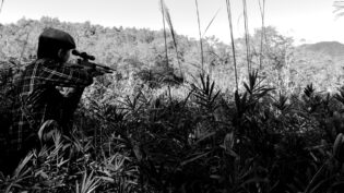 「ボサ越し射撃は難しい」サムネイル