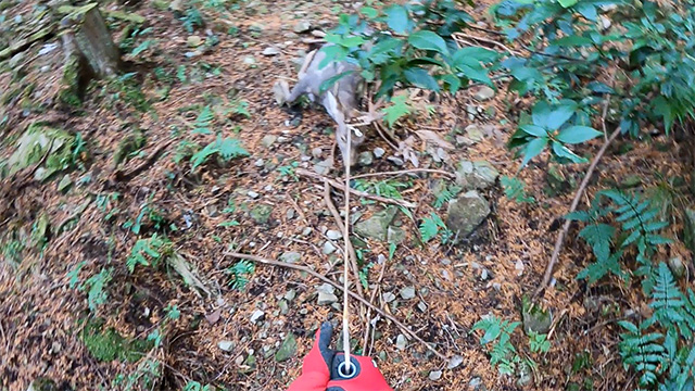 仕留めた鹿の運搬