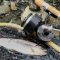 「ミッチェル314で釣ったアマゴ」サムネイル