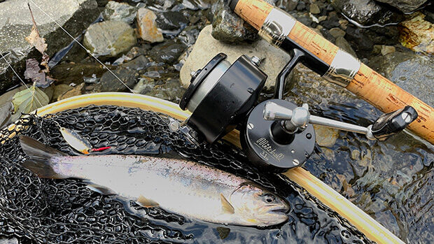 「ミッチェル314で釣ったアマゴ」サムネイル