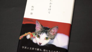 『猫にかまけて』単行本