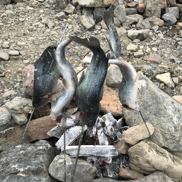 釣ったその場で塩焼きしたニジマス