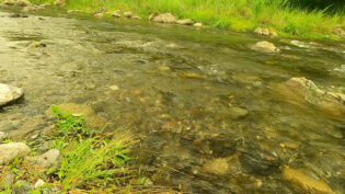 ウルトラライトグリーン越しにGoProで撮影した川面
