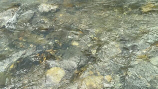 ウルトラライトグリーン越しにGoProで撮影した渡渉時の川面