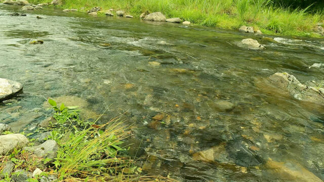 イーズグリーン越しにGoProで撮影した川面