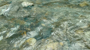 イーズグリーン越しにGoProで撮影した渡渉時の川面