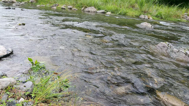 GoProで撮影した川面