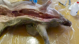 「狩猟生活の歩み:7期目の記録」サムネイル