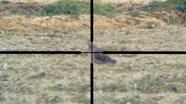 シャープ純正4倍スコープの視界