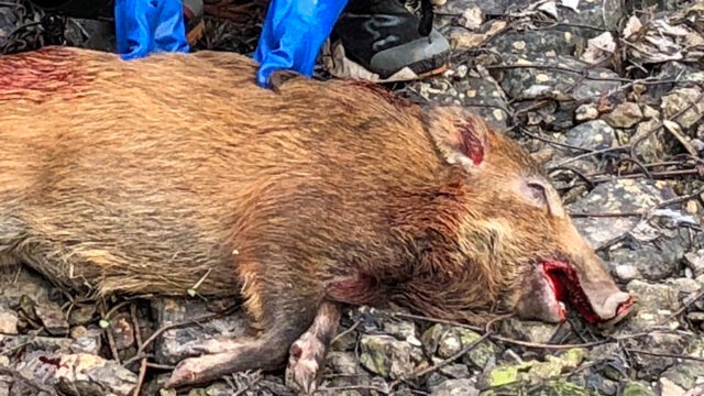 「狩猟生活の歩み:9期目の記録」サムネイル